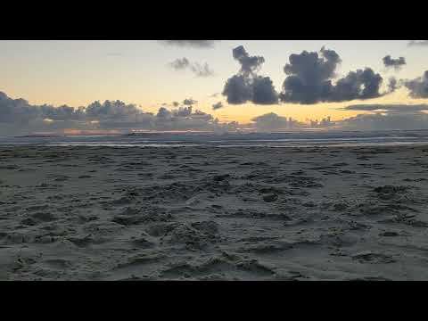 Beachfront Manor Hotel Sunset Short