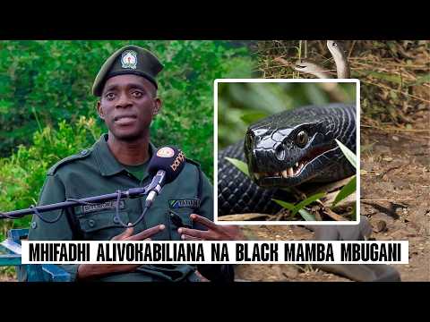 MHIFADHI ALIVOKABILIANA NA BLACK MAMBA MBUGANI