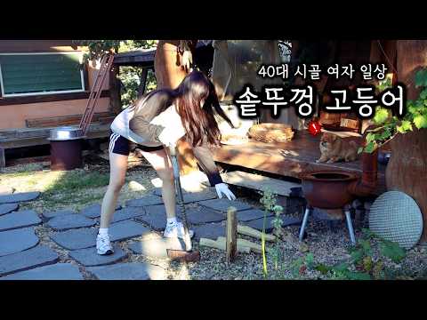 솥뚜껑에 고등어조림 (ft.고구마 줄기) & 장작불 간고등어구이ㅣ뽀야랑 고구마 캐서 가마솥에 삶아 먹기