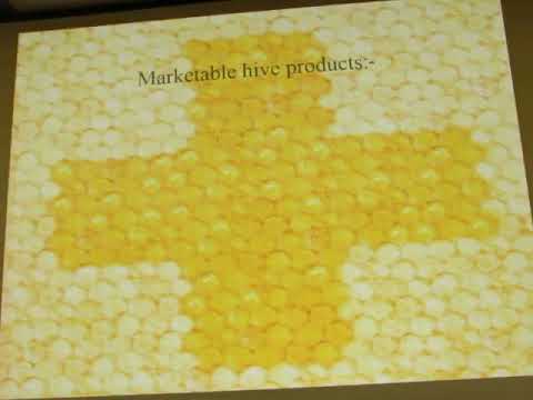 Apimondia Istanbul - Improving the Quality of Apitherapy Products - Norman Carreck - 02.10.2017