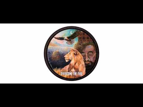 Dubzoic / Sara Fuga / Lucadread /  - Overcome The Evil - 12" - Dub O Matic Records