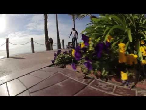 Sector 9 Product Guide: Striker