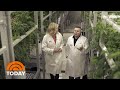 How CBD Is Extracted From Cannabis | TODAY