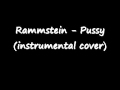 Rammstein - Pussy (instrumental cover) 