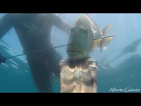 PESCA SUBACQUEA #N.4-2020: ALLETTERATO DI 6.5KG E DENTICE 4KG