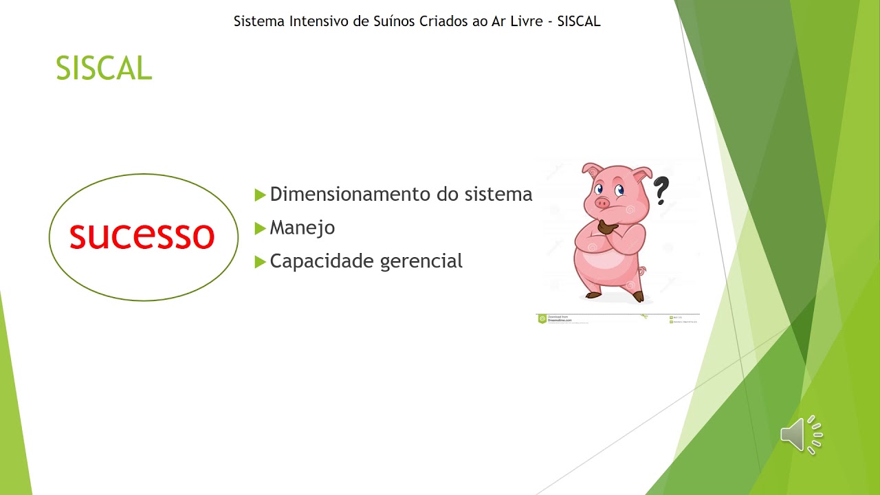 Aula: Sistema Intensivo se Suínos Criados ao Ar Livre (SISCAL)