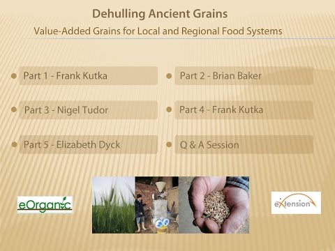 Dehulling Ancient Grains