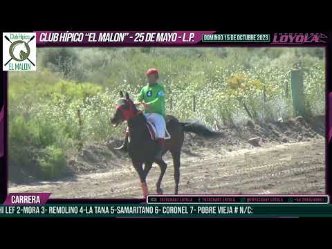 CORONEL - 25 de Mayo - L.P. 15-10-23@fotochartloyola23