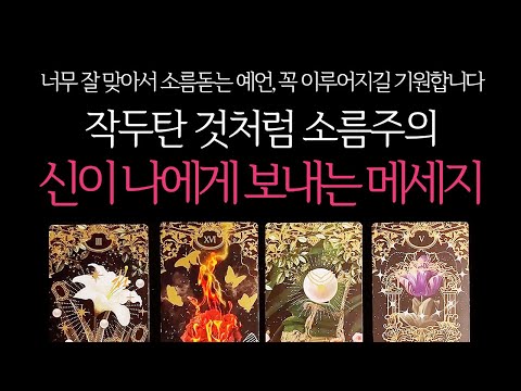 [타로]🌹작두주의🔥지금 신이 나에게 보내는 메세지🔮 곧 일어날 일•연애운•행운을 올려주는 꿀팁들까지🙏🏻