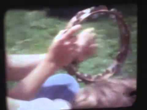 Video thumbnail for ​late-summer sun