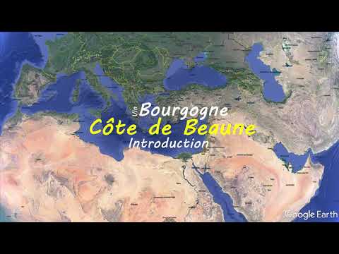 Côte de Beaune Introduction I French wine map I Wine study