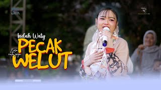 Download lagu PECAK WELUT - INDAH WATY || ' LIVE NESA NATA JAYA GROUP ' TRENDING OF PANTURA mp3