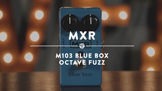 MXR M103 Blue Box Octave Fuzz | Reverb Demo Video