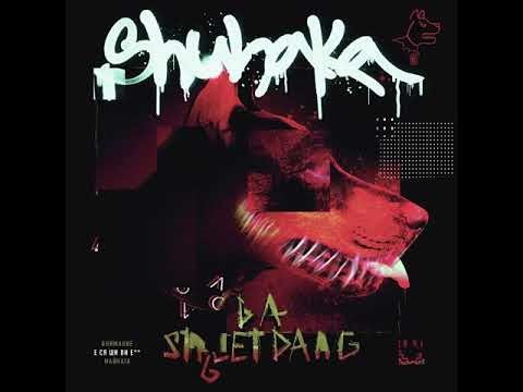 SHUNAKA - PRODAVACH KONSULTANT (Prod. By JS) [OFFICIAL 2021 AUDIO]