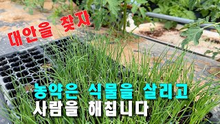 농약은 식물을 살리고 사람을 해칩니다. 대안을 찾자.