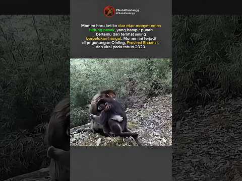 PELUKAN KECIL, MAKNA BESAR!