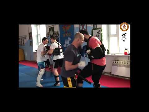 Подготовительные сборы к Международному турниру International WKO