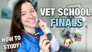 VET SCHOOL FINAL EXAMS: everything you need to know about vet school exams, format + how to study! 🐾