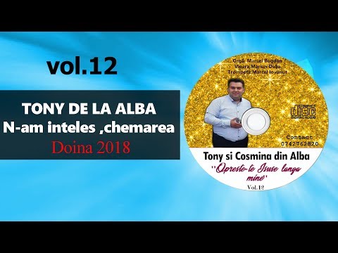 Tony de la Alba - N-am inteles chemarea - Doina 2018 [Official]