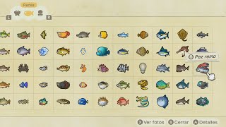 Como conseguir todos los peces Animal Crossing New Horizon