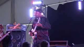 Beale Street Music Festival 2013 - James &quot;Super Chikan&quot; Johnson performs Jimmy Reed