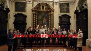 JESU  REX  ADMIRABILIS, Palestrina, Schola Cantorum, G. Vianini, Milano, It.