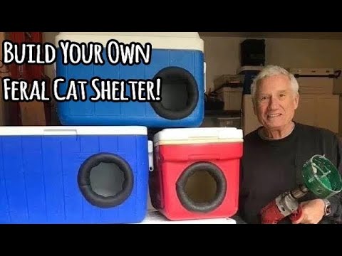 Your Full Guide To Make Stray Cat Shelter!
