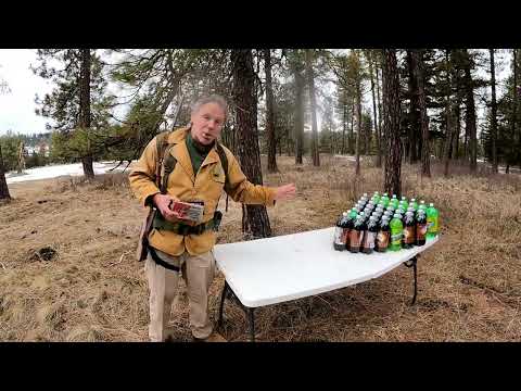 .50cal BP, Testing Hornady's 290gr FTX Bullets in Clear Ballistics Gel