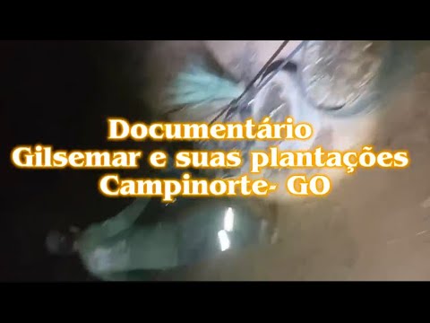 Documentário de plantações - Campinorte GO