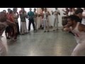 Mestrando Anão - Bahia 2014 