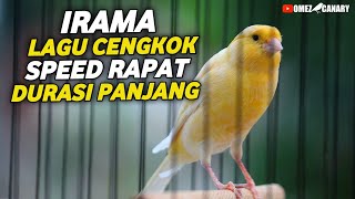 Download lagu VIDEO MASTERAN KENARI PALING DICARI‼️irama lagu cengkok speed rapat mp3