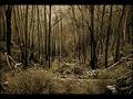 Fire & Rain...My First Recording!