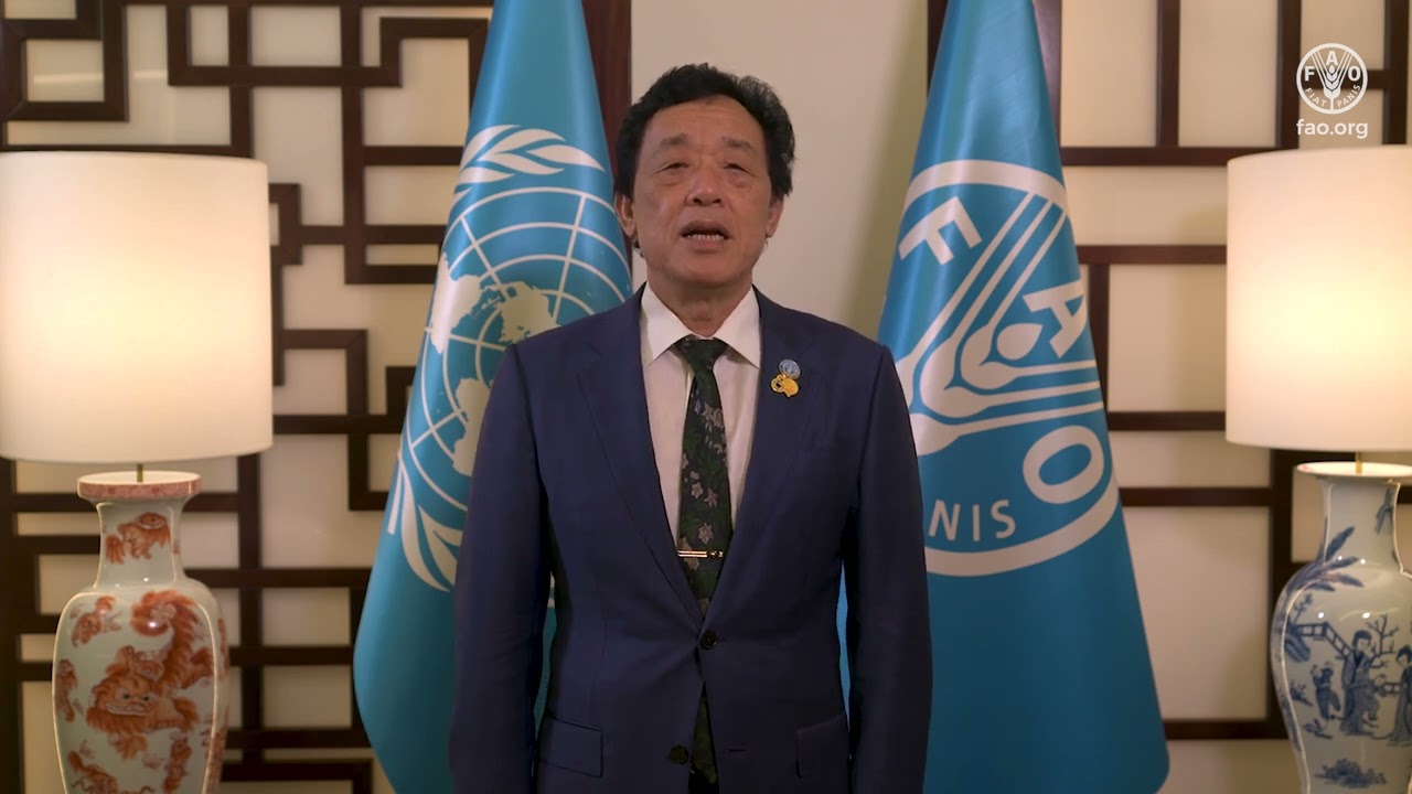 FAO Director-General video message for the 2026 International Day of the Potato celebrations