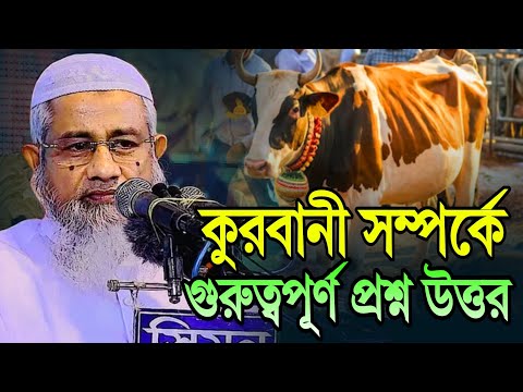 কুরবানি ও জিলহজ্জ মাসের গুরুত্বপূর্ণ মাসায়েল – আল্লামা মুফতি দিলাওয়ার হুসাইন