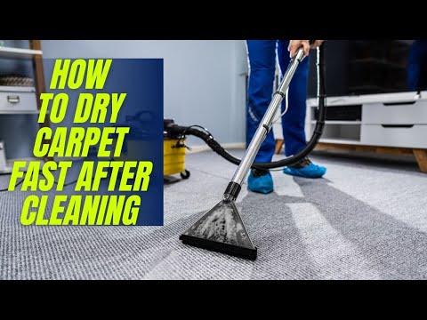 YouTube video about: How to dry carpet fast after cleaning?