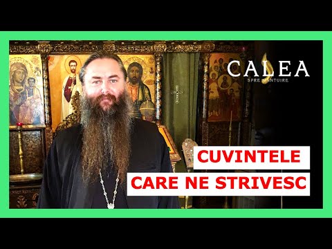 🔵  CUVINTELE CARE NE ZIDESC ȘI CUVINTELE CARE NE RĂNESC | PĂRINTELE CHIRIL ZĂGREAN