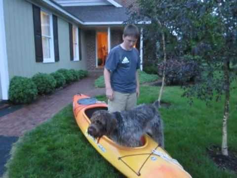 Wilderness Systems Pungo 120 Review
