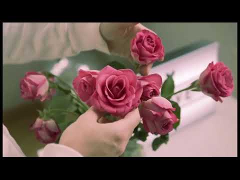 CORAL CENTINELAS_UNA MANSIÓN