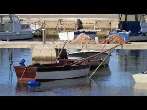 KLAPA ROKO PROJDEN KROZ PASIKE