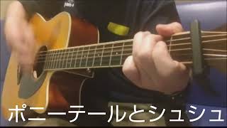 『ポニーテールとシュシュ』AKB48/アコギ弾き語りカバー
