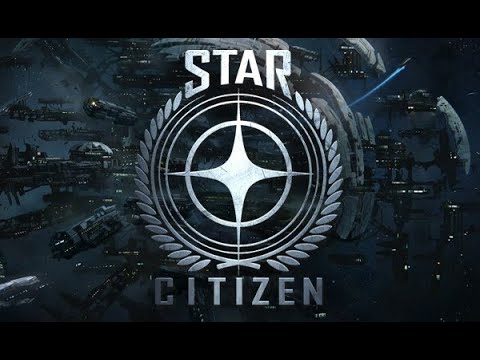 Star Citizen 3.9 working on the 300i