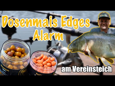 🎣💣 Shortsession am kleinen Baggersee | Erfolg mit Laufblei? | Century Blackmax | Naturebaits