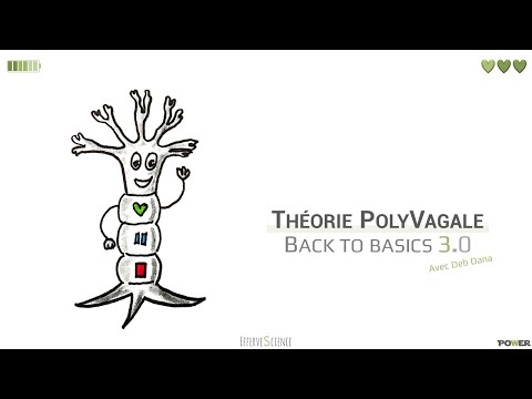 PolyVagal Theory : back to basics 3.0, a masterclass