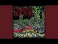 Put Them to Death (Cannibal Corpse)