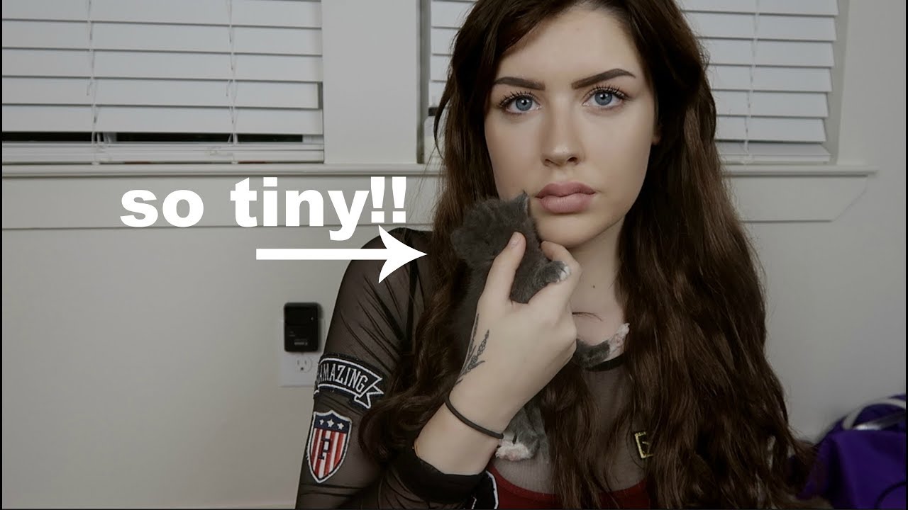 NEWBORN PETS AND A NEW APARTMENT