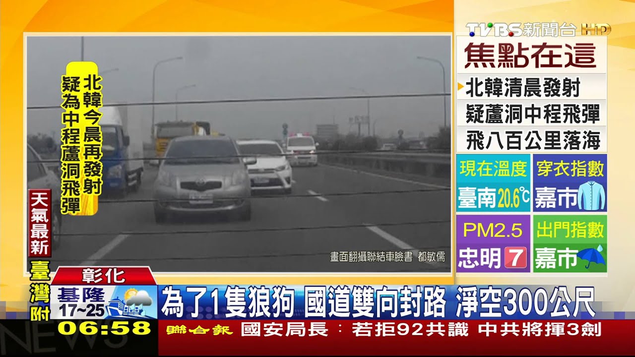 為了1隻狼狗!國道雙向封路 淨空300公尺