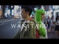 NOAH – Wanitaku (Official Music Video) NOAH – Wanitaku (Official Music Video)