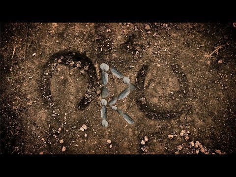 The Runes: Raidho ᚱ