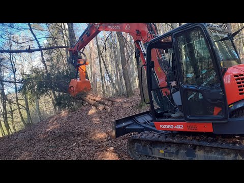 Fällgreifer Axer 540L | Kubota KX-080 4a2 | Landtechnik Klug