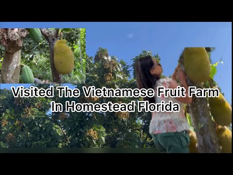 Visitou a Fazenda de Frutas Tropicais em #Homestead #Florida า